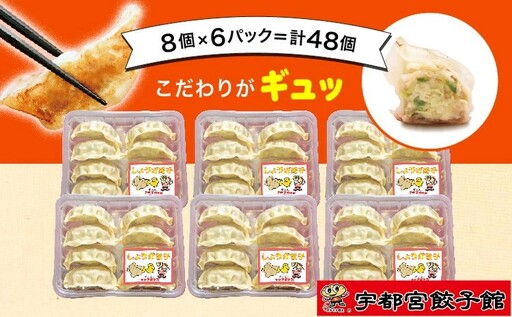 「宇都宮餃子館」のしょうが餃子 8個入り×6パック(計48個) | 餃子 冷凍 ぎょうざ 栃木県 宇都宮市