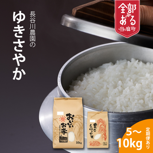【令和6年産】ゆきさやか 10kg×3回コース〈定期便〉精米 北海道当麻町 長谷川農園【U-009】