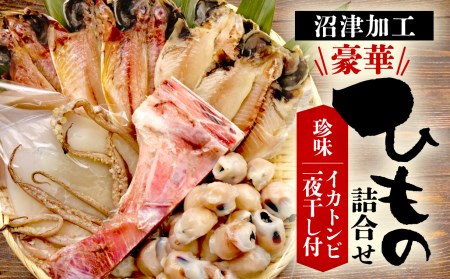 珍味 イカトンビ 一夜干し と沼津加工干物詰め合わせセット 干物セット お中元 お歳暮 母の日 父の日 のし対応