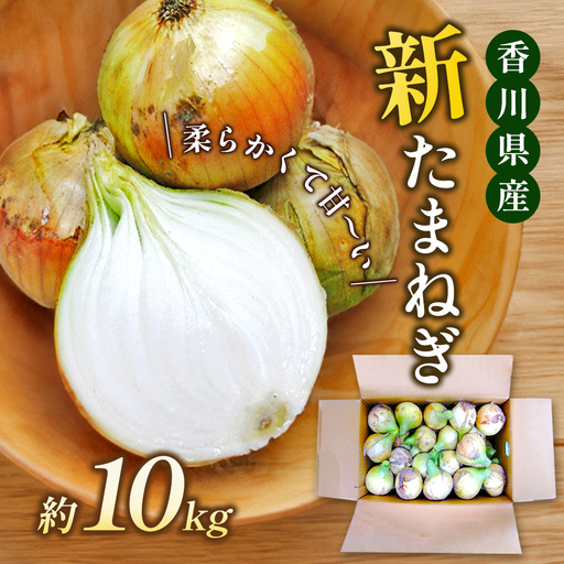 新玉ねぎ 香川県産 令和8年産 新玉ねぎ【約10kg 3L〜M】 【46311147】