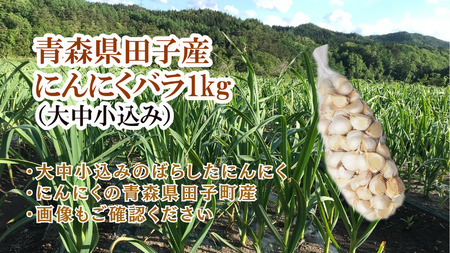 青森県田子産にんにくバラ(訳あり)約1kg