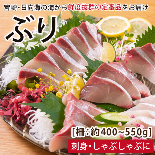 [北海道・離島配送不可]日向灘ぶりのお刺身(約400〜550g)魚 海鮮 冷蔵[UZ-03][請関水産]