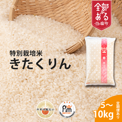 【令和8年産】【定期便】特別栽培米きたくりん 10kg×6回 北海道当麻町 舟山農産 減農薬 低農薬【AB-027】