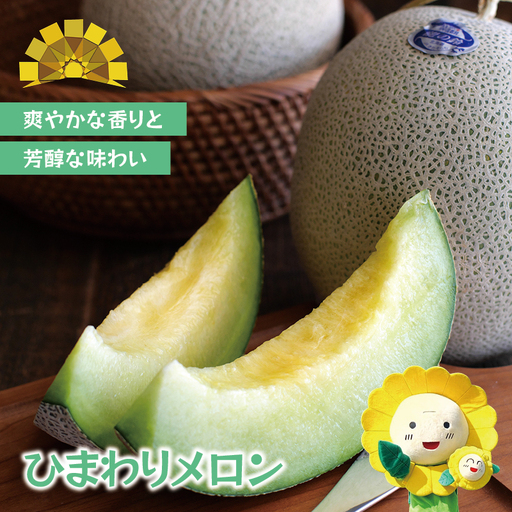 めろん 令和8年産 ひまわり メロン(青肉)4〜6玉 ※7月上旬〜8月上旬に順次発送 [sun514-ao-46A]