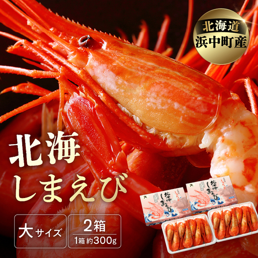 北海しまえび(大) 300g×2箱 えび_H0001-1231