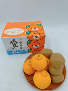 みかん 愛媛 デコポンとグリーンキウイのセット 人気 数量限定 柑橘 伊予市｜B106