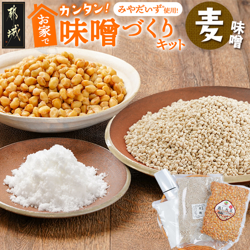 お家で簡単!味噌づくりキット【麦味噌】〔AA-G802〕_(都城市) 味噌づくりキット 麦味噌 蒸し大豆 麦麹 塩 塩分濃度約11％