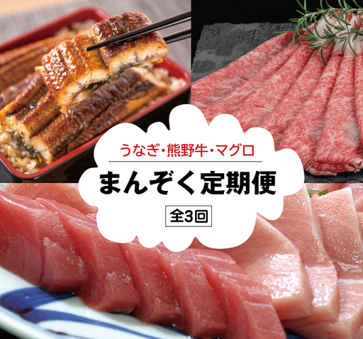 【3か月定期便】贅沢定期便 うなぎ･高級和牛･本マグロ【tkb104】