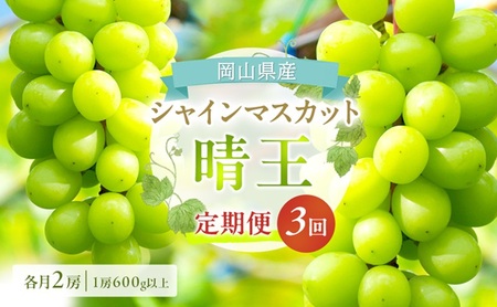 ぶどう 定期便 2026年 先行予約 シャイン マスカット 晴王 各月2房（1房600g以上） 3回コース マスカット ブドウ 葡萄  岡山県産 国産 フルーツ 果物 ギフト 上品な香り 最高級 大粒 種なし 皮ごと 