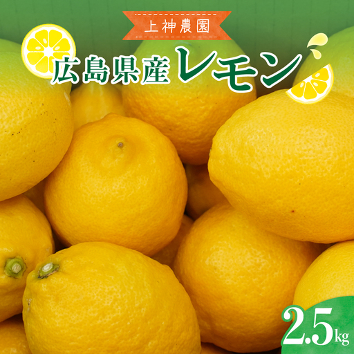 先行受付 2026年11月～発送 広島県産 レモン 約2.5kg