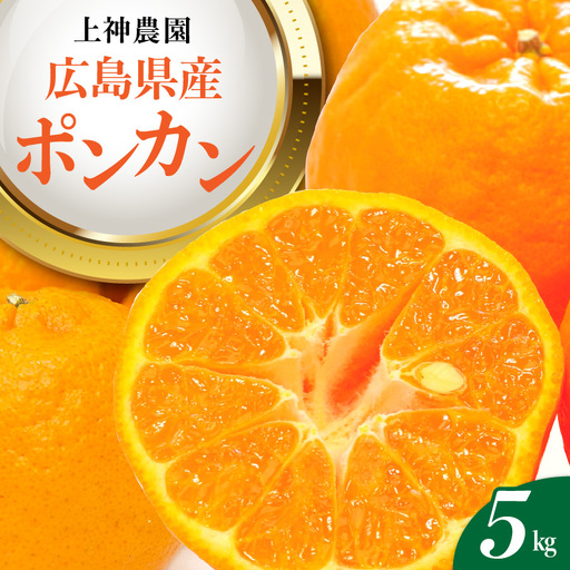 先行受付 2027年1月中旬〜発送 ポンカン 約5kg 上神農園
