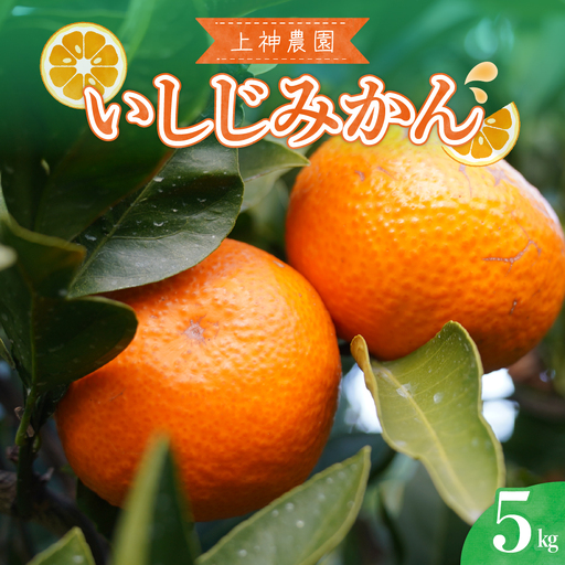 先行受付 2026年12月中旬〜発送開始 いしじみかん 約5kg 柑橘