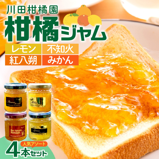 島の恵み 瀬戸内 柑橘ジャム 人気アソート 4本 セット 食べ比べ セット 温州みかん 紅八朔 レモン しらぬい ジャムセット シトラス お取り寄せグルメ 送料無料 広島県 呉市【合成保存料 着色料 不使用】 ku055-003-r
