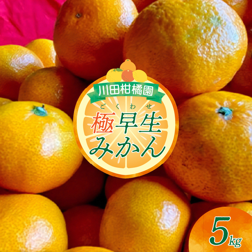 【2026年10月上旬～発送】川田柑橘園 呉市大長産 「極早生みかん」5kg ku055-004-26