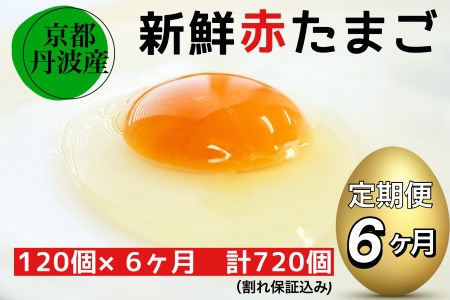 [6回定期便]卵 赤たまご 120個 卵定期便[北海道・沖縄・離島配送不可]