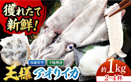【1週間以内発送】アオリイカ 1kg（2?4杯） [PEP005]  イカ 水いか 肉厚 いか 小分け 下処理済 冷凍 刺身 真空パックスピード発送 最速発送 最短発送