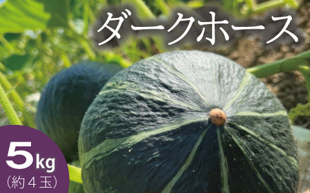 高評価★5![2026年産先行受付] かぼちゃ 北海道 5kg 甘い ホクホク 当麻町 阿部ファーム ダークホース カボチャ 南瓜 野菜 [AE-002]