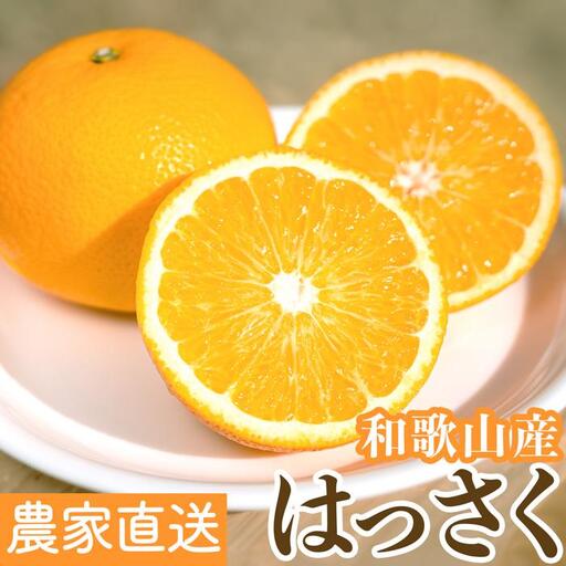 ［先行予約］和歌山県産はっさく秀品 10kg（L ～ 2L）［2027年1月中旬以降より順次発送］
