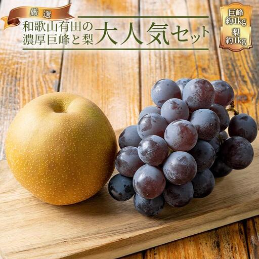 農家直送 和歌山有田の朝採り 巨峰 と 梨 大人気セット[2026年・先行予約]
