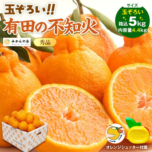 不知火 (しらぬい) 秀品 玉ぞろい 箱込 5kg (内容量約4.4kg)  和歌山県産 産地直送［みかんの会］