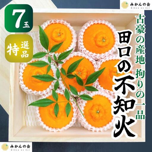 不知火 古豪の産地 田口の不知火 7玉木箱入 特選品 産地直送 贈答用 数量限定［みかんの会］