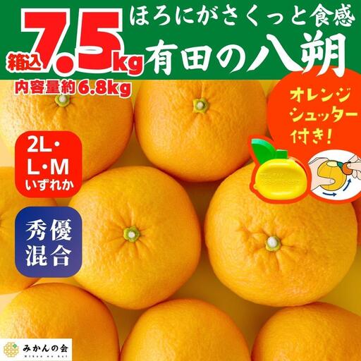 八朔 (はっさく) 玉ぞろい 箱込 7.5kg(内容量約 6.8kg) 2L L Mサイズのいずれか 秀品 優品 混合 和歌山県産  産地直送［みかんの会］
