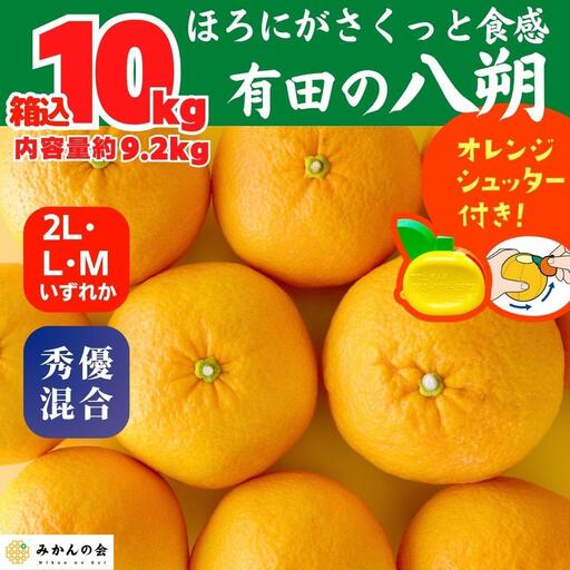 八朔 (はっさく) 玉ぞろい 箱込 10kg(内容量約 9.2kg) 2L L Mサイズのいずれか 秀品 優品 混合和歌山県産  産地直送［みかんの会］
