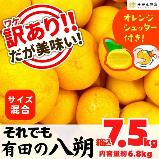 八朔 訳あり それでも 有田の八朔  (はっさく) 箱込 7.5kg (内容量約 6.8kg) サイズミックス B品 和歌山県産  産地直送［みかんの会］