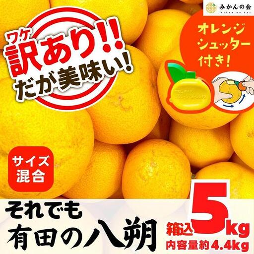 八朔 訳あり それでも 有田の八朔  (はっさく) 箱込 5kg (内容量約 4.4kg) サイズミックス B品 和歌山県産  産地直送［みかんの会］