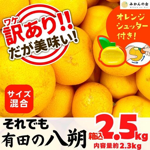 八朔 訳あり それでも 有田の八朔  (はっさく) 箱込 2.5kg (内容量約 2.3kg) サイズミックス B品 和歌山県産  産地直送［みかんの会］