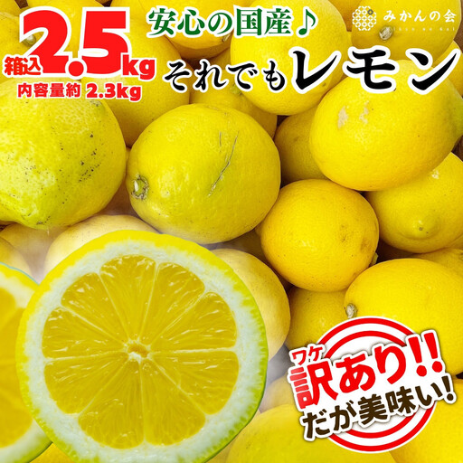 訳あり レモン B品  箱込2.5kg(内容量約2.3kg) 和歌山県有田産（サイズミックス）【みかんの会】
