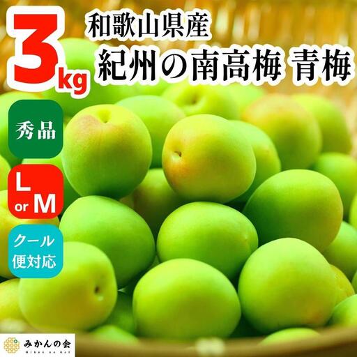 青梅 南高梅 3kg 秀品 LまたはMサイズ 和歌山県産 A品 梅酒作り用 梅ジュース作り用