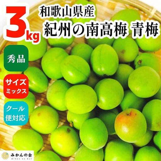 青梅 南高梅 3kg 秀品 サイズミックス  和歌山県産 A品 梅酒作り用 梅ジュース作り用