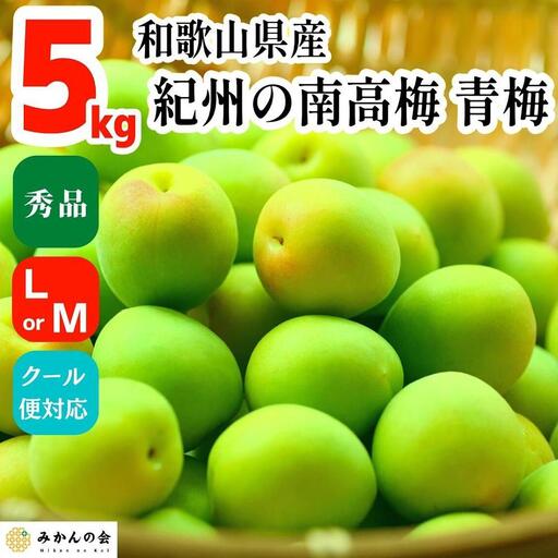 青梅 南高梅 5kg 秀品  LまたはMサイズ 和歌山県産 A品 梅酒作り用 梅ジュース作り用
