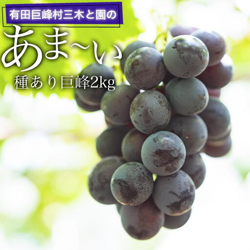 種あり巨峰2kg ぶどう 有田巨峰村 三木と園の露地栽培あま〜い 先行予約