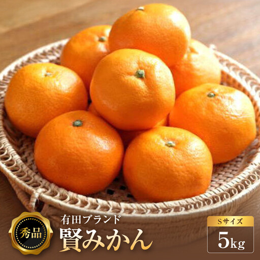 [秀品]有田のブランド「賢みかん」5kg(Sサイズ) ［2026年11月中旬頃より順次発送］