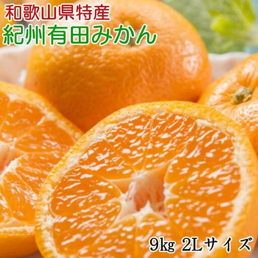 [秀品]和歌山有田みかん約9kg(2Lサイズ) ★2026年11月中旬頃より順次発送［TM85w］