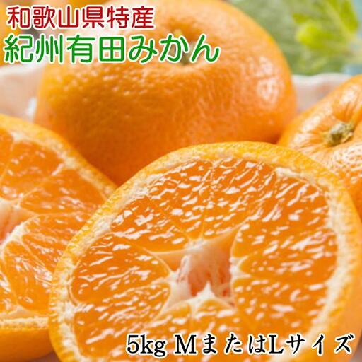 [秀品]和歌山有田みかん約5kg(MまたはLサイズ) ★2026年11月中旬頃より順次発送［TM98w］