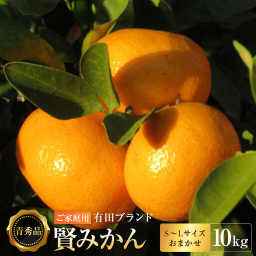 有田のブランド「賢みかん」10kg(S～Lサイズおまかせ）ご家庭用［2026年11月中旬頃より順次発送］