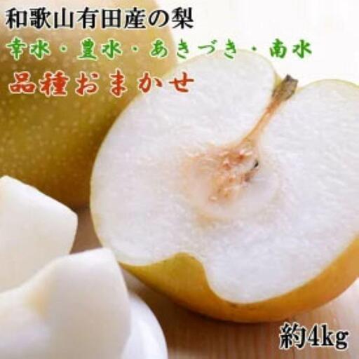 【産直】和歌山有田産の梨約4kg（品種おまかせ）★2026年8月上旬頃より順次発送