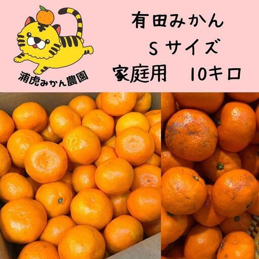 12/25までにご入金確認分は年内発送確定！訳あり温州みかん 家庭用 箱込み10kg (Sサイズ指定)