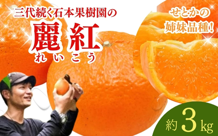 麗紅 石本果樹園 麗紅（レイコウ）約3kg 約18～20玉前後【min003C】