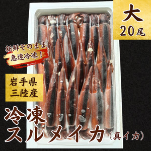 【船上箱詰で急速冷凍】冷凍スルメイカ 大20尾入 鮮度抜群！ いか イカ 刺身