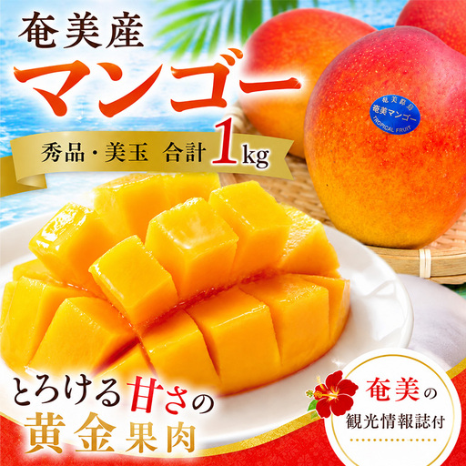 [2026年 観光雑誌付き]奄美産マンゴー 秀品・美玉1kg とろける甘さの黄金果肉 樹上完熟
