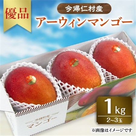 【先行受付・2026年6月から順次発送】山城フルーツ園のアーウィンマンゴー優品1kg【配送不可地域：離島】【1372428】