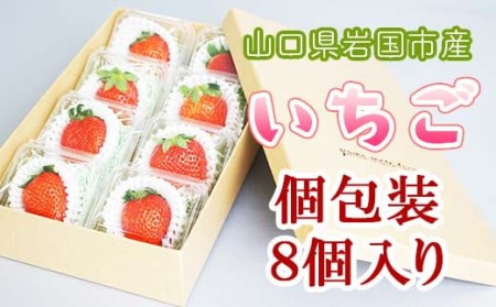 いちご 個包装8個入 BUAN005 いちご