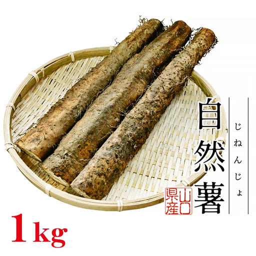 Agrimottoの「自然薯」１kg