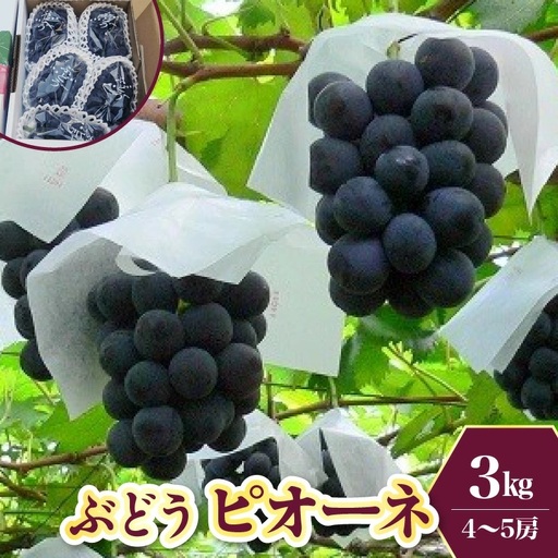 ぶどう（ピオーネ）３ｋｇ　0009-2604