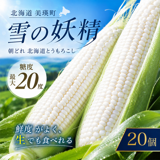 【先行予約】とうもろこし 雪の妖精 20本 白 とうもろこし 北海道