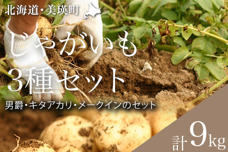 じゃがいも[令和8年産予約受付!] じゃがいも 3種セット 男爵 キタアカリ メークイン 北海道 [011-61]